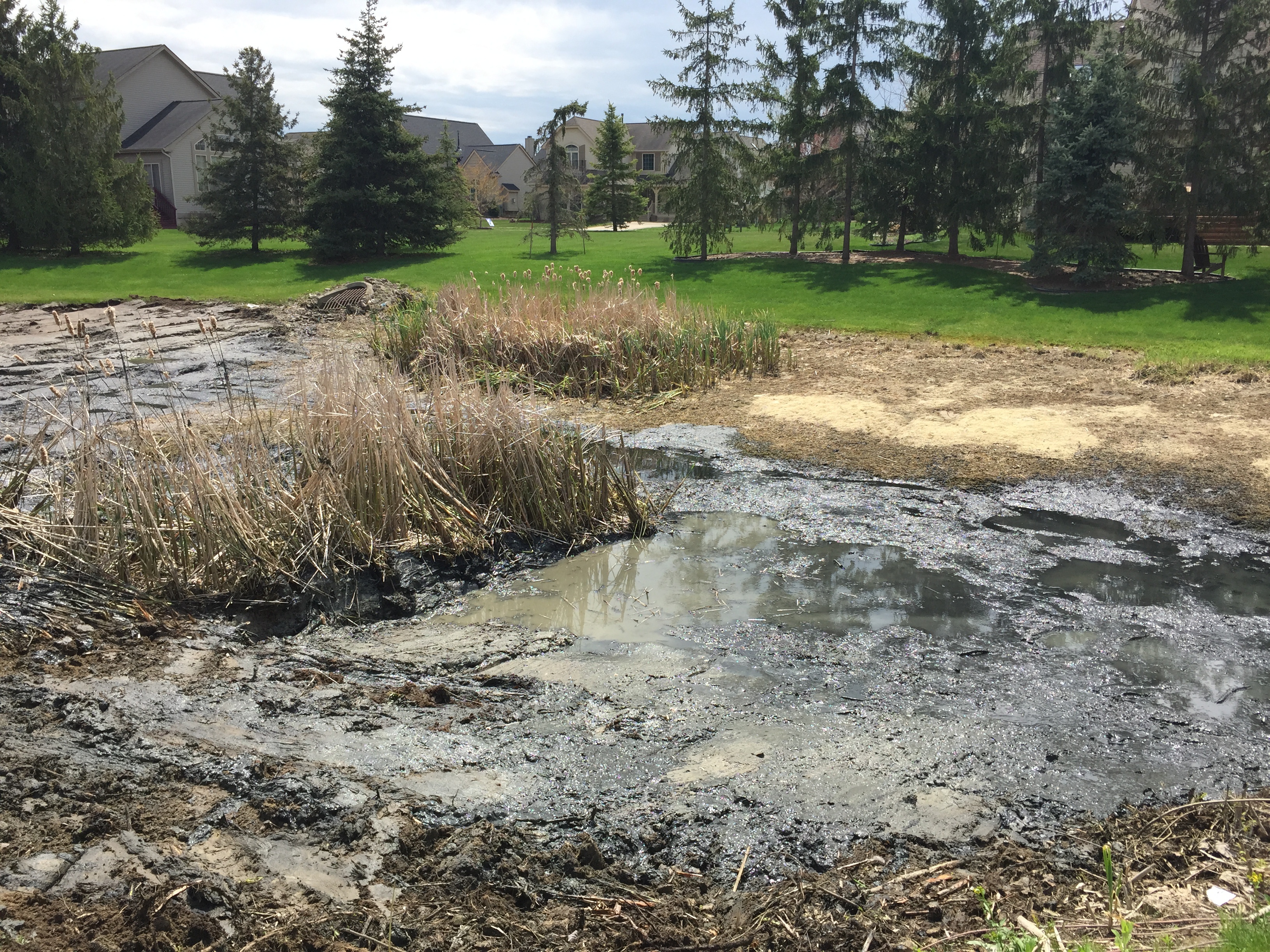 Ann Arbor, Mi Hoa clean out (18).jpg