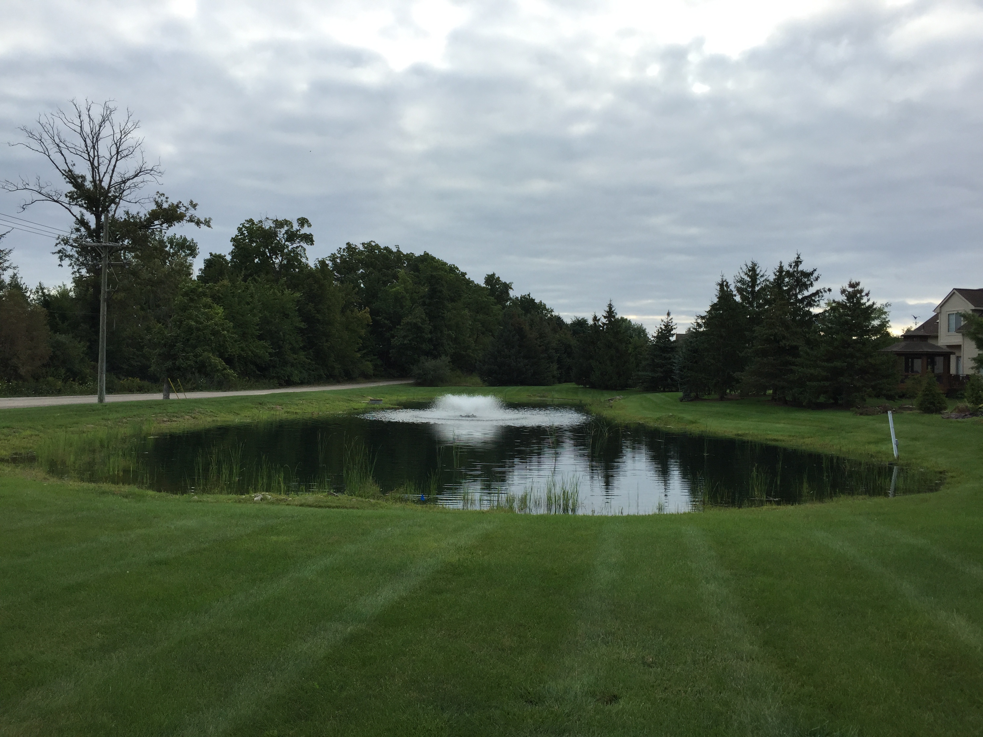 Ann Arbor, Mi Hoa clean out (20).jpg