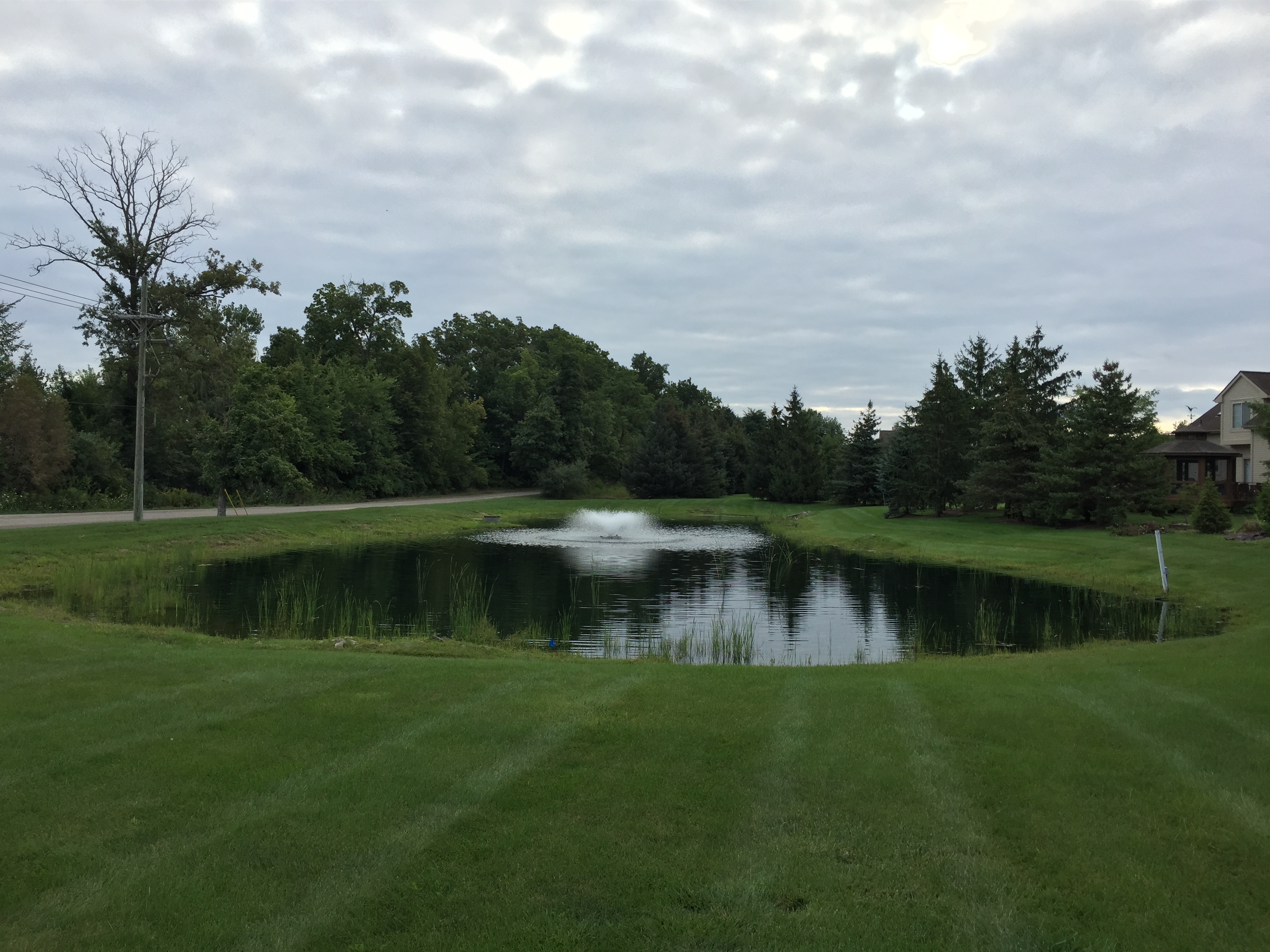 Ann Arbor, Mi Hoa clean out (21)-1.jpg