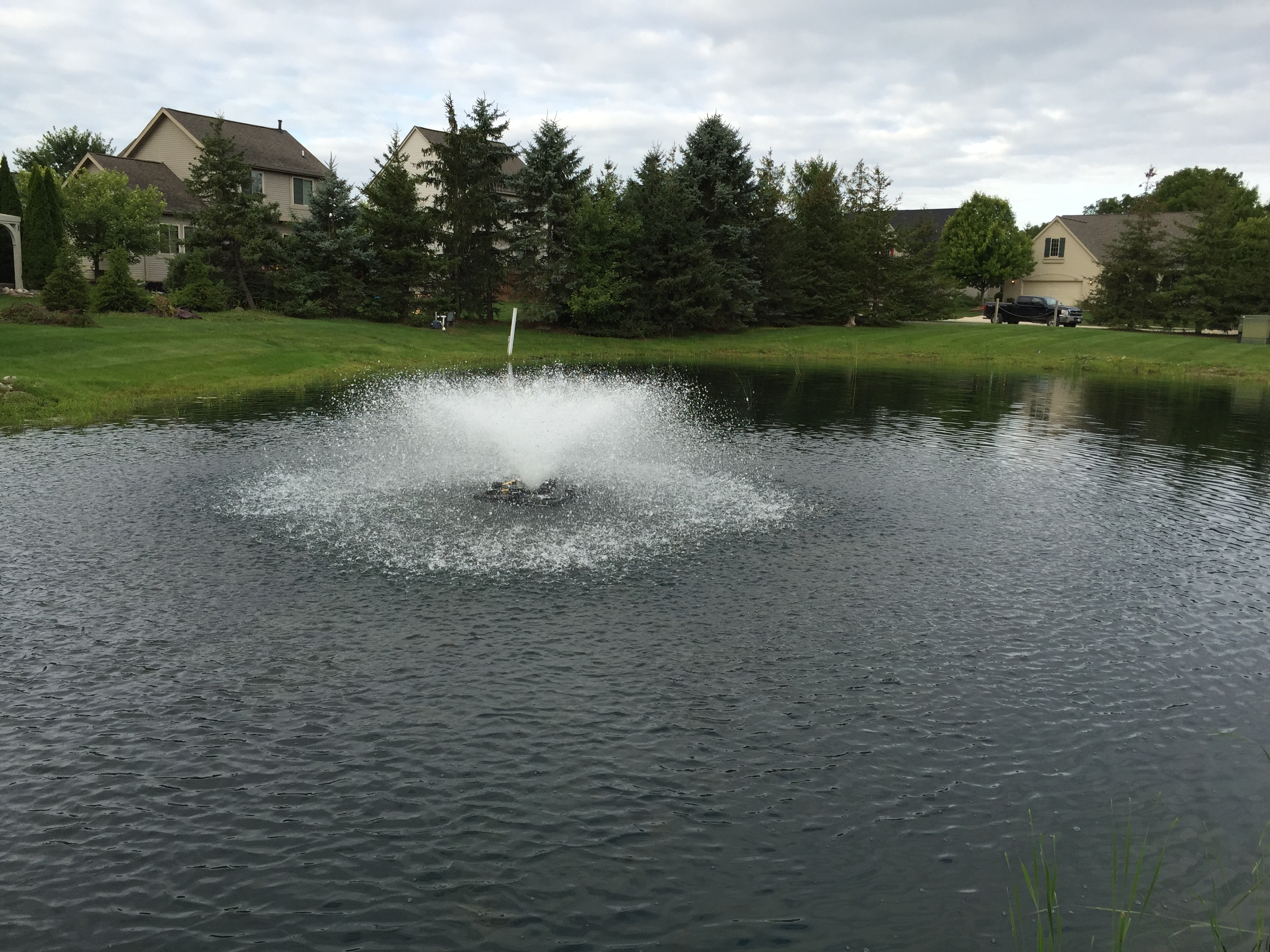 Ann Arbor, Mi Hoa clean out (24).jpg