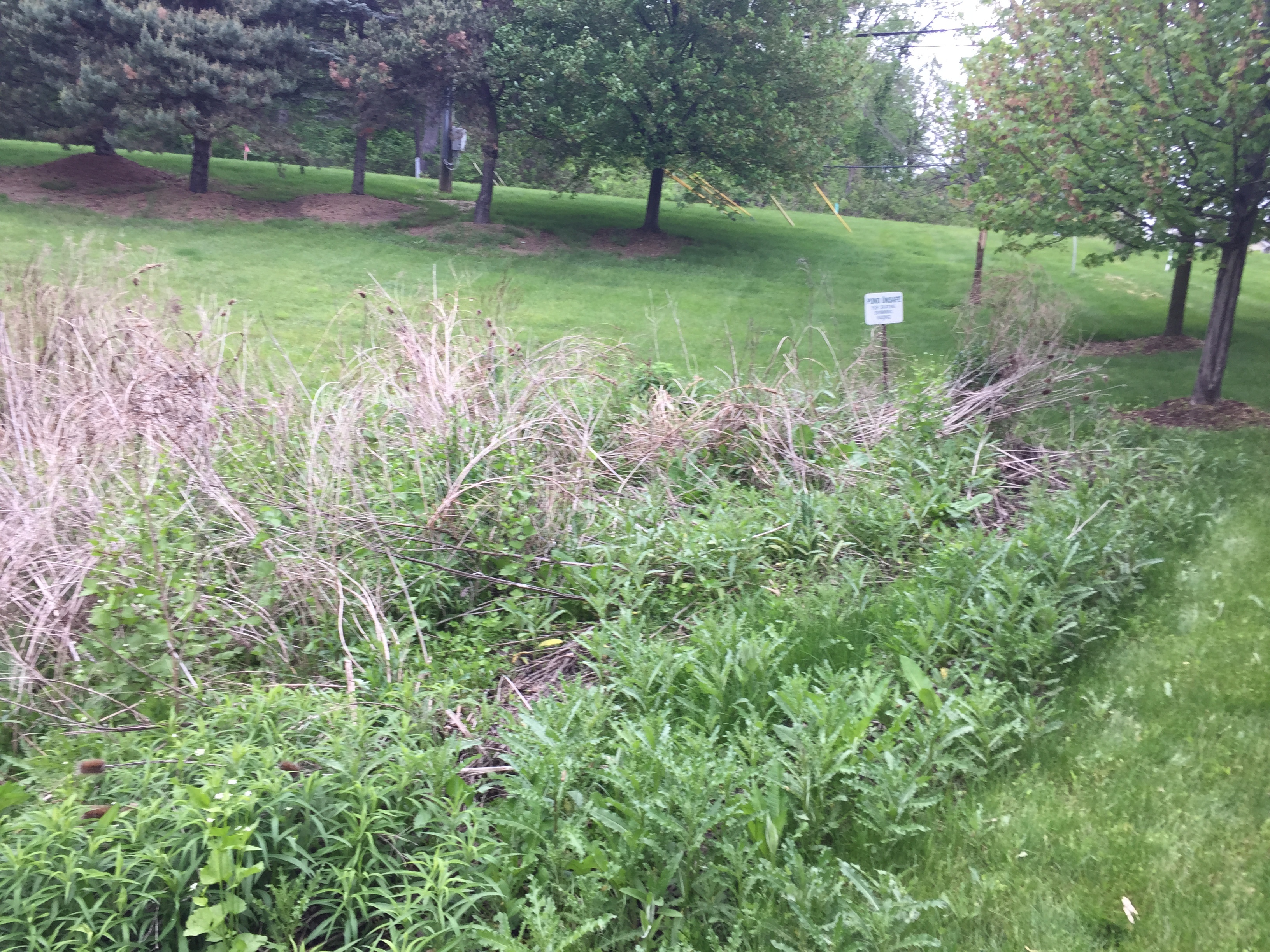 Ann Arbor, Michigan retention basin pond fix (110).jpg