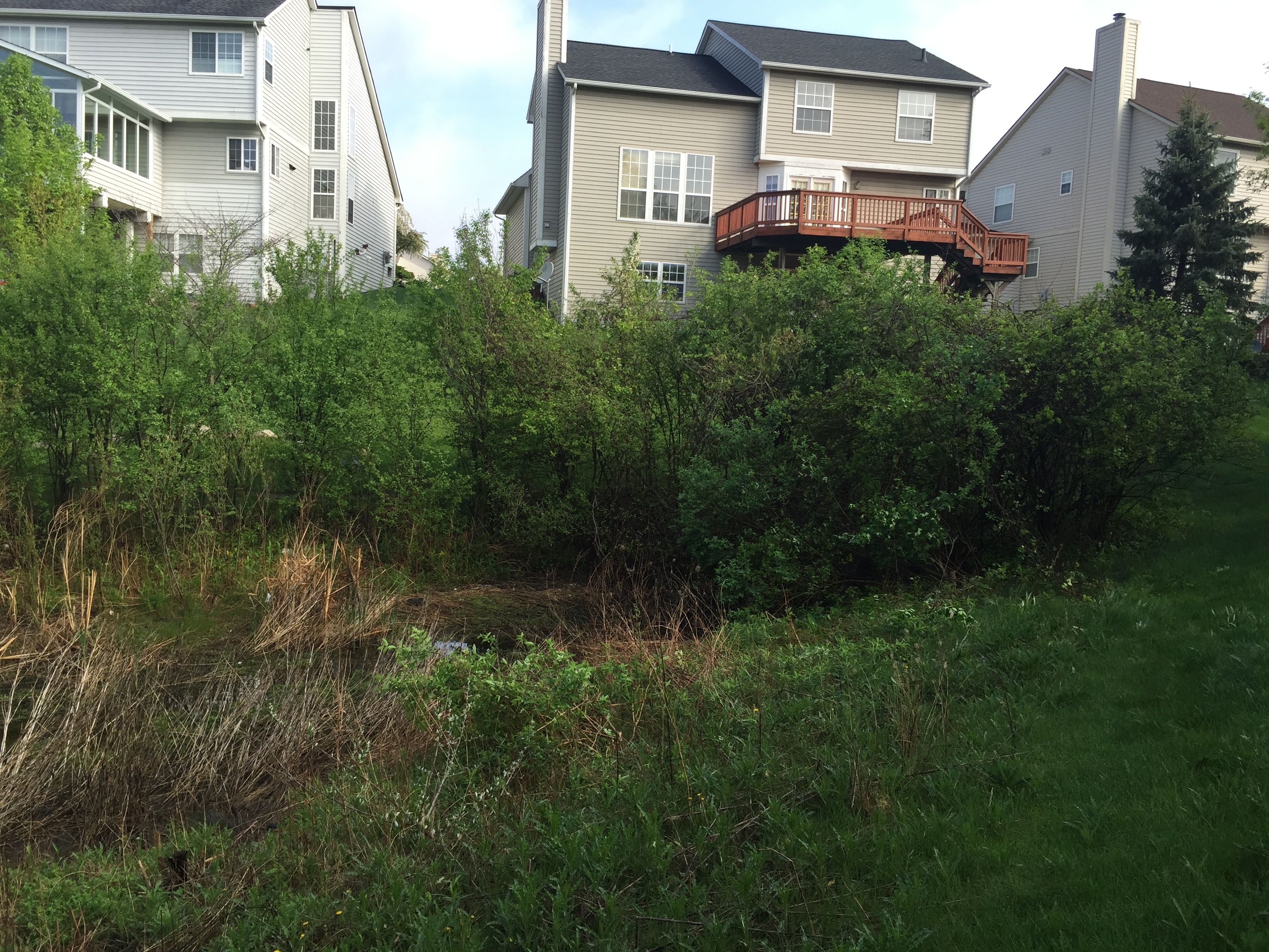 Ann Arbor, Michigan retention basin pond fix (89).jpg