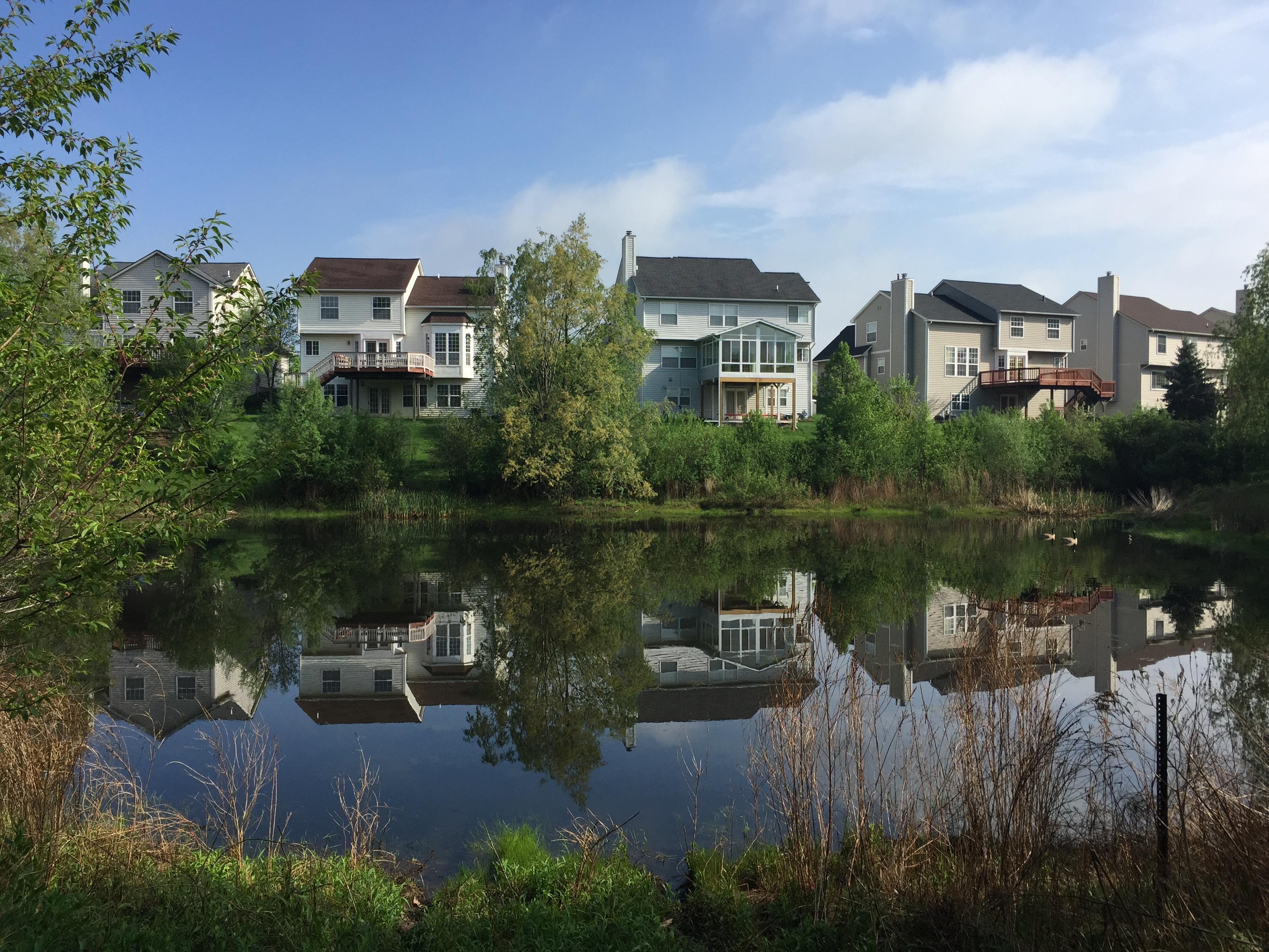 Ann Arbor, Michigan retention basin pond fix (91).jpg