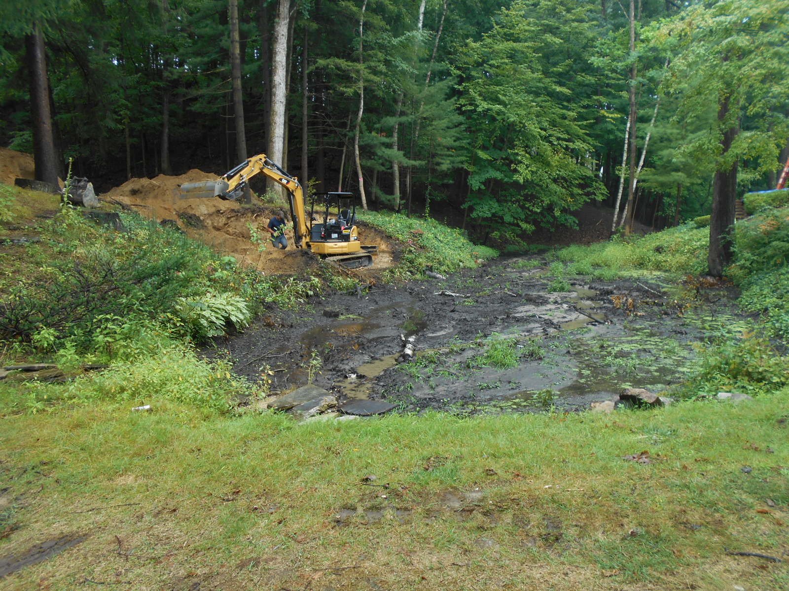 Bloomfield Hills, MI clean out (1) (N)