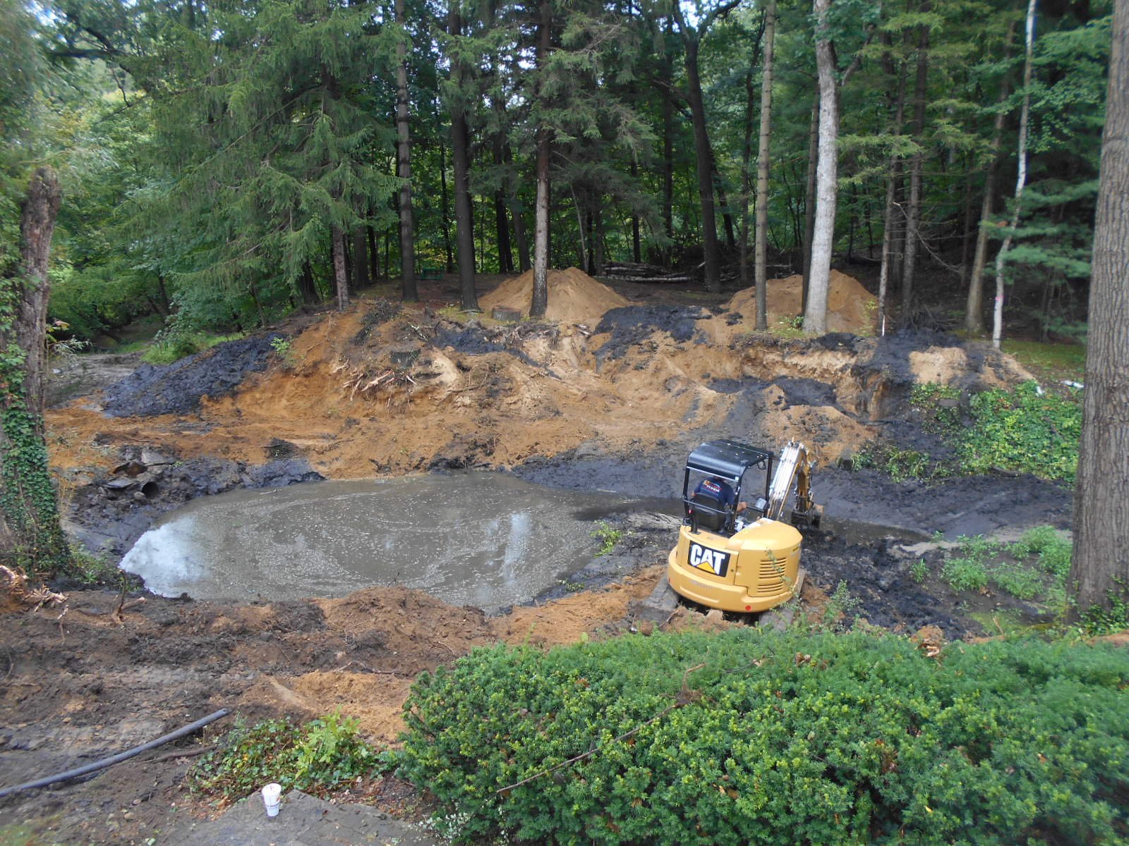 Bloomfield Hills, MI clean out (19) (N)