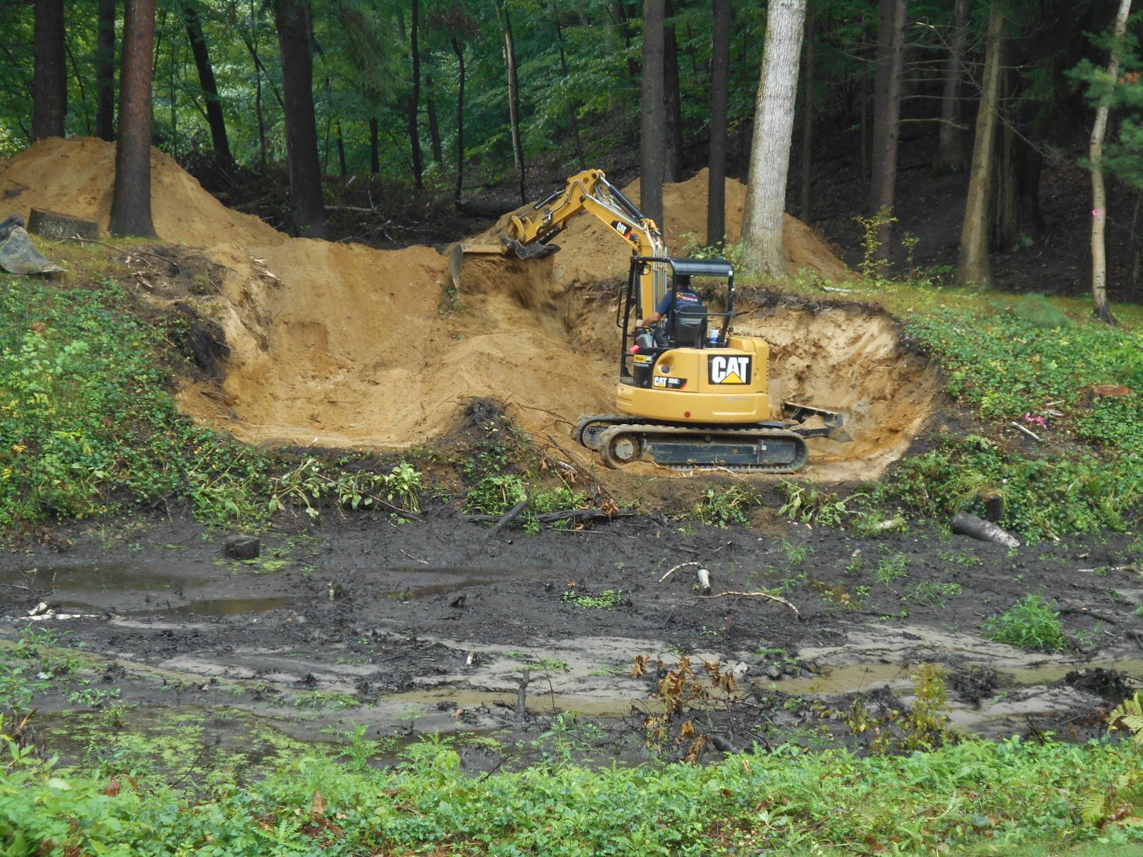 Bloomfield Hills, MI clean out (3) (N)