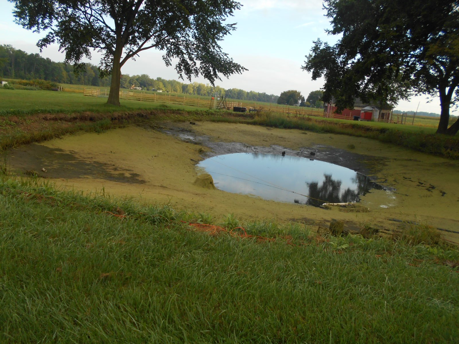 Burt, MI Pond Clean Out (2)