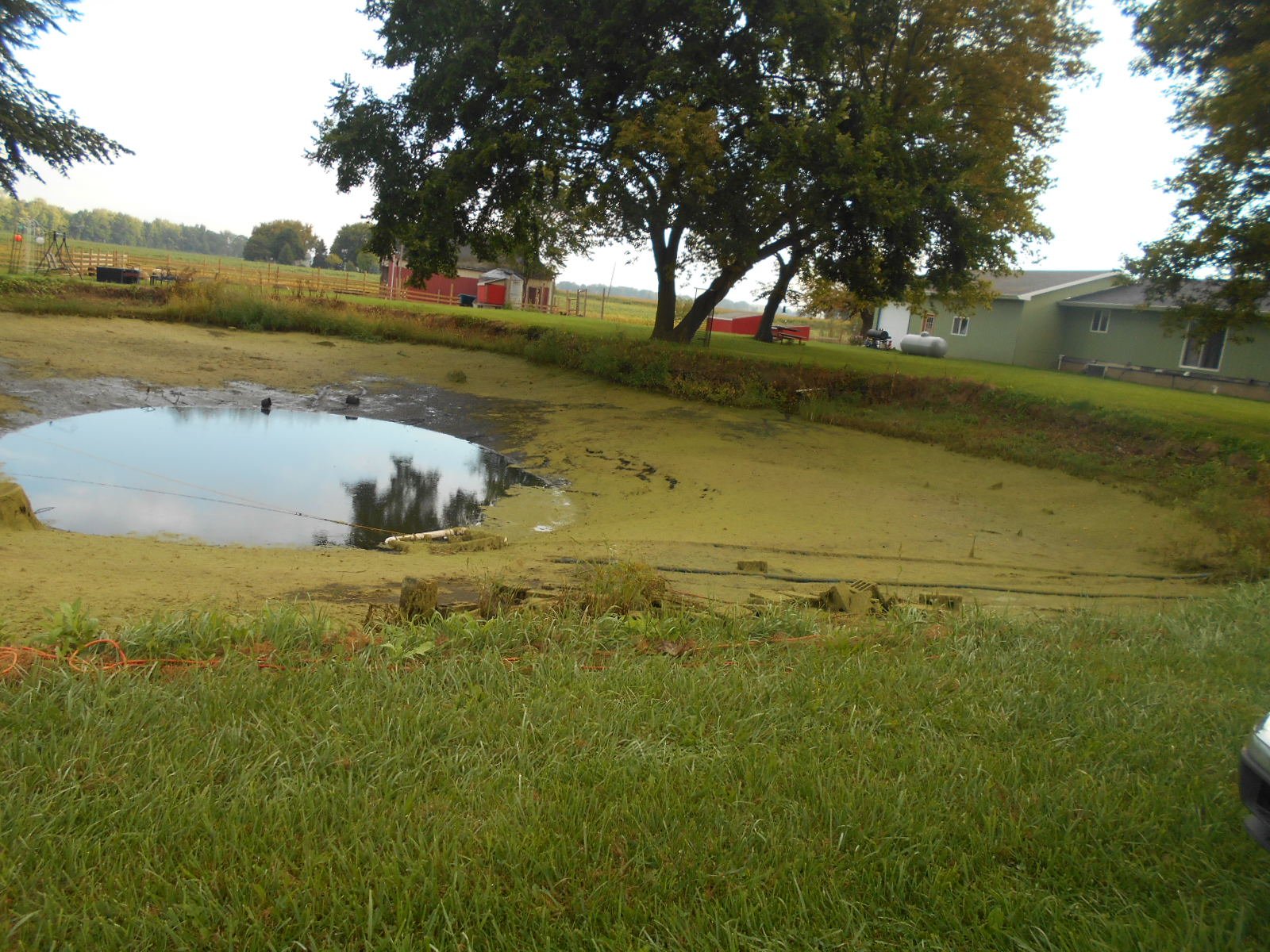 Burt, MI Pond Clean Out (3)
