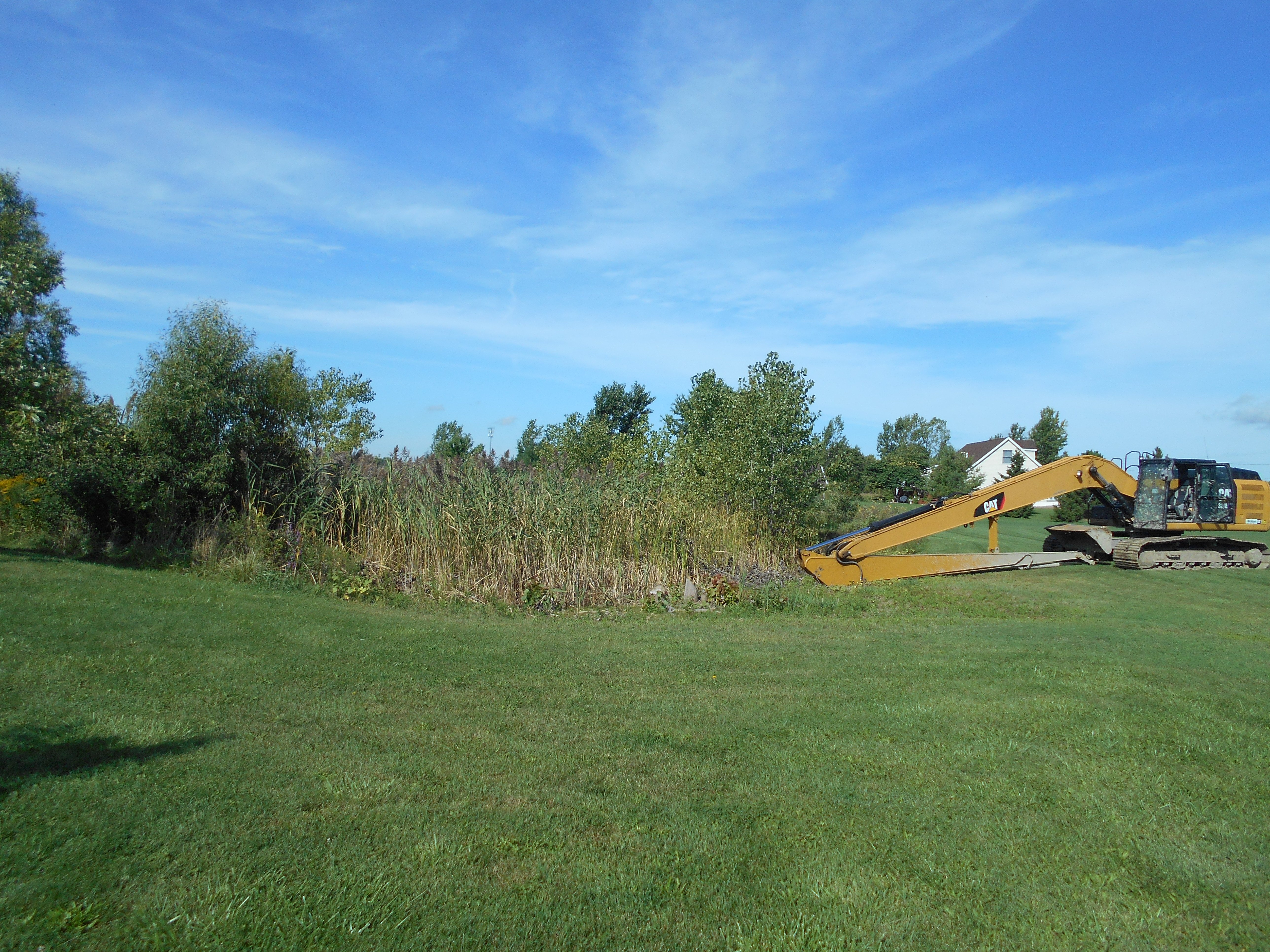 Carleton, MI clean out (2)