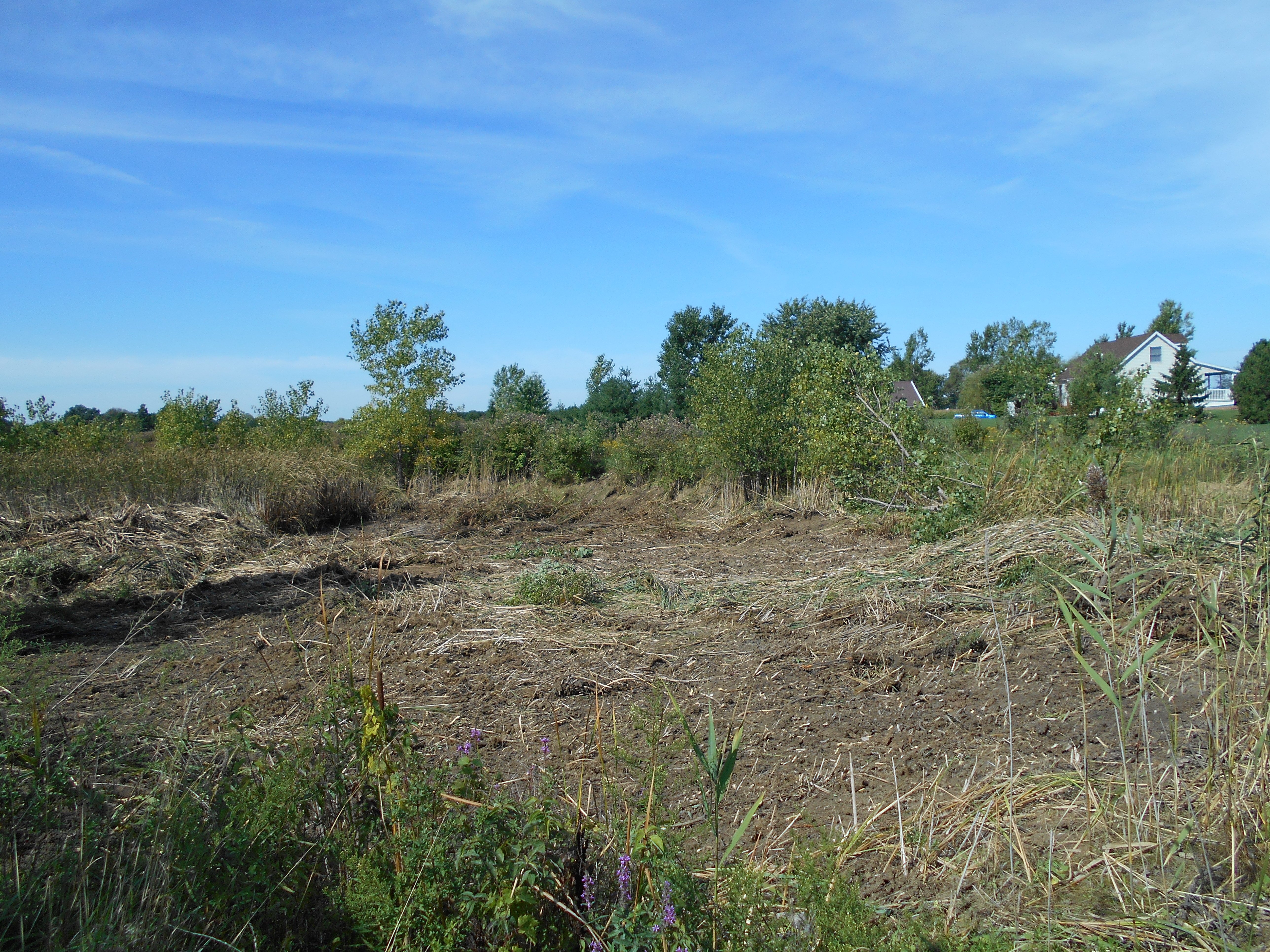 Carleton, MI clean out (8)