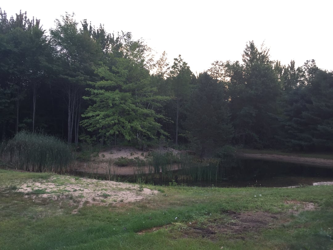Chesaning, MI Pond clean-out (1).jpg