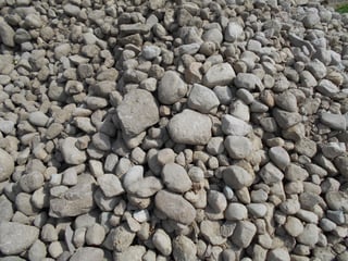 DSCN0333.jpg