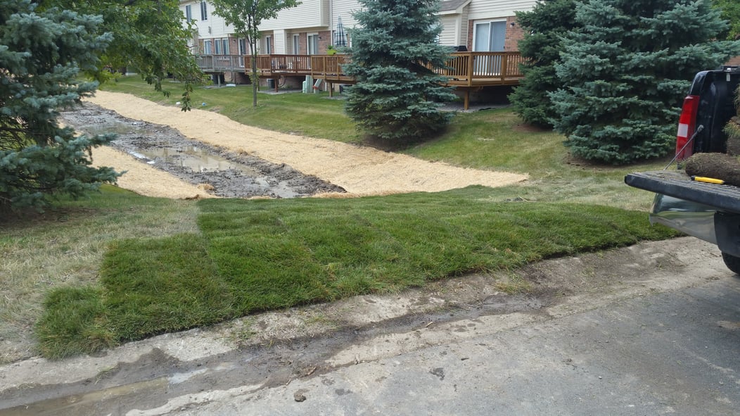 Dearborn, Michigan ditch maintenance (21).jpg