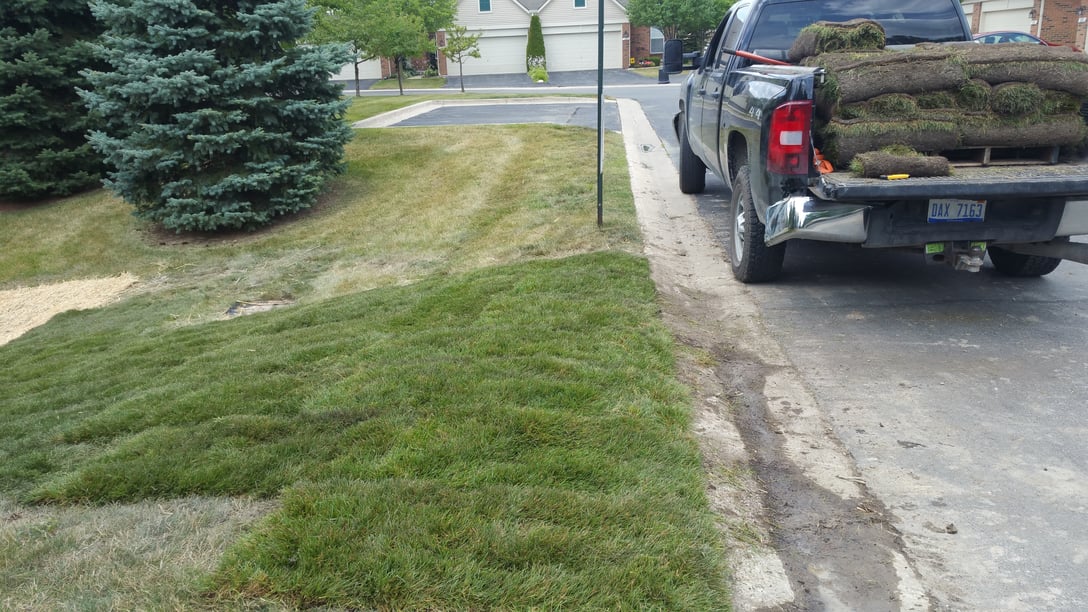 Dearborn, Michigan ditch maintenance (24).jpg