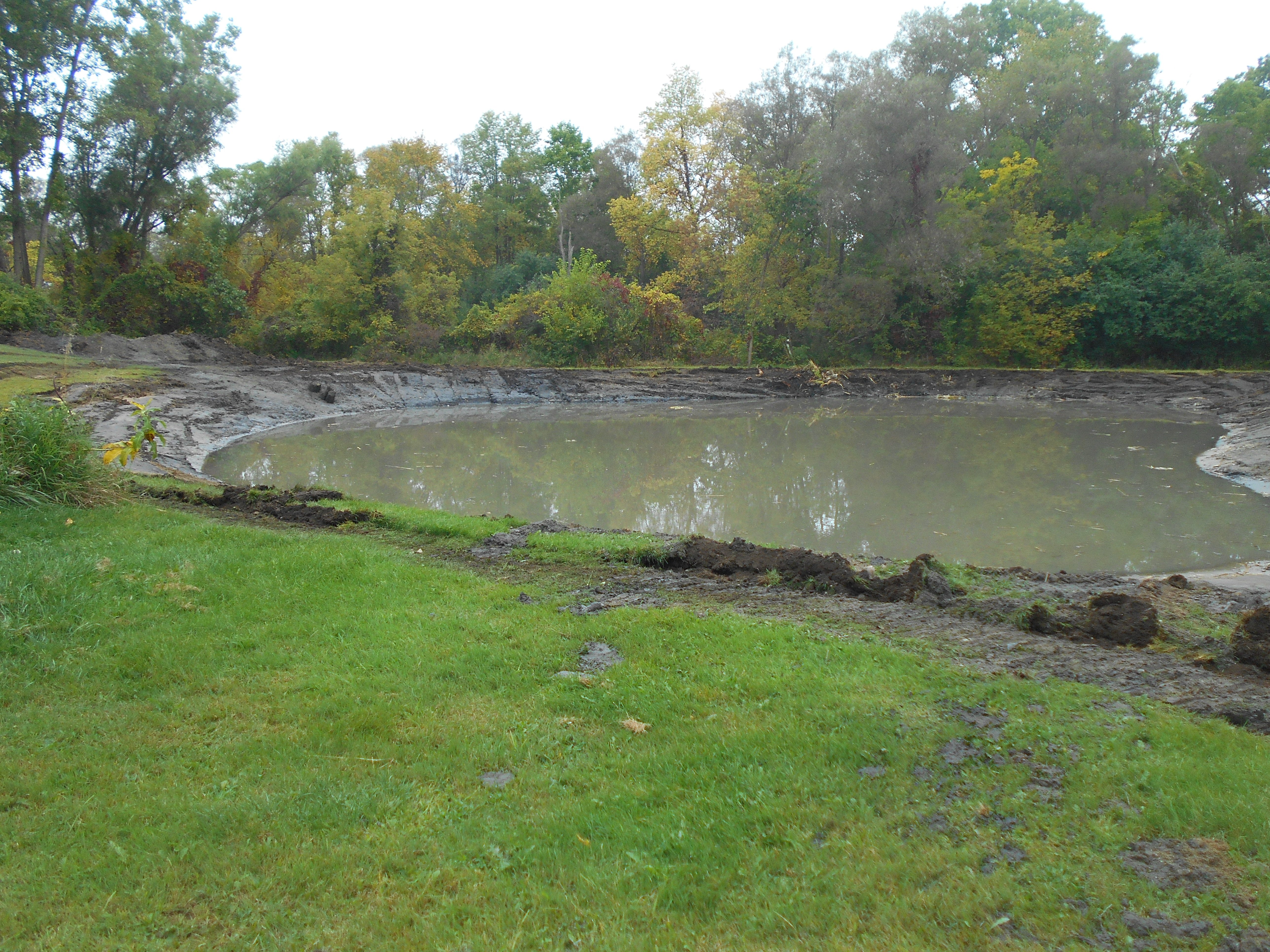 Dexter, MI Clean out (6)