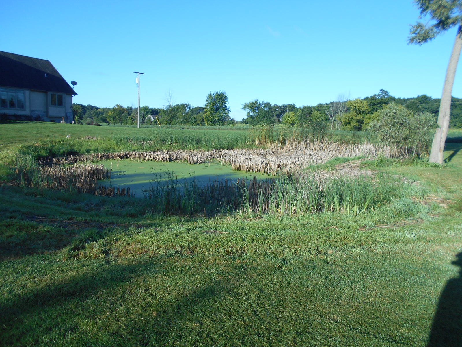 Franklin, MI pond clean out (2)