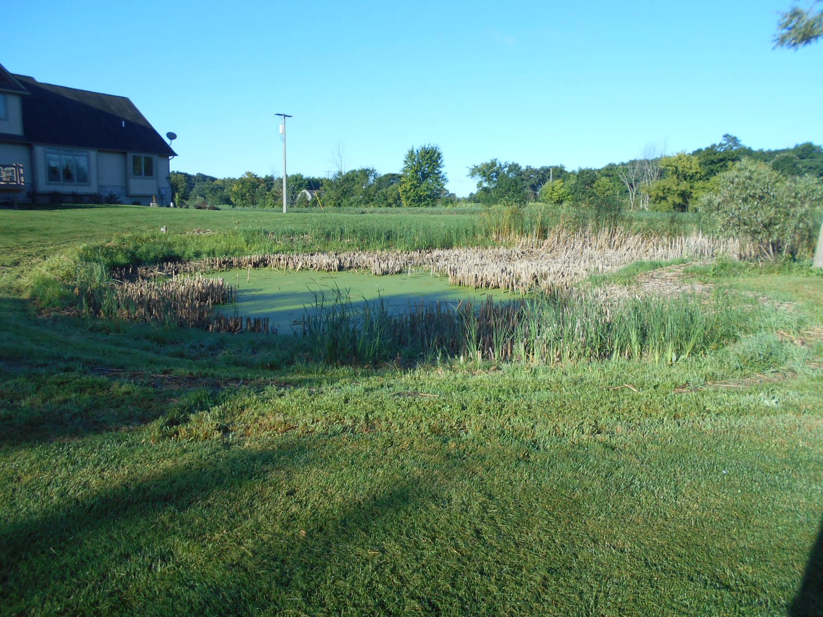 Franklin, MI pond clean out (3)
