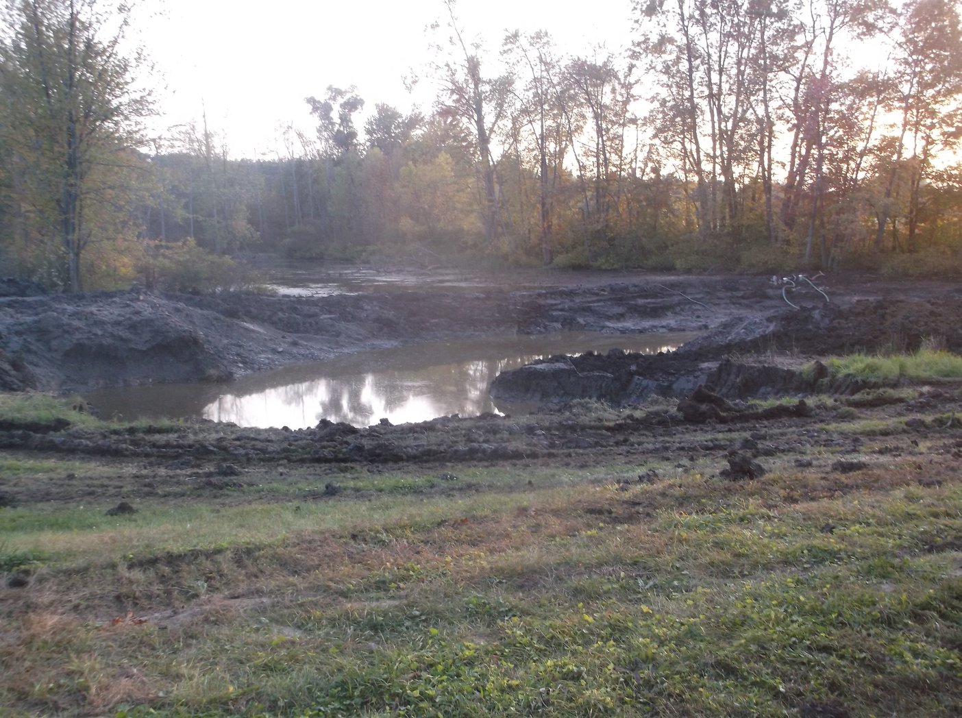 Grand Blanc, Michigan New swamp pond Michigan (132)