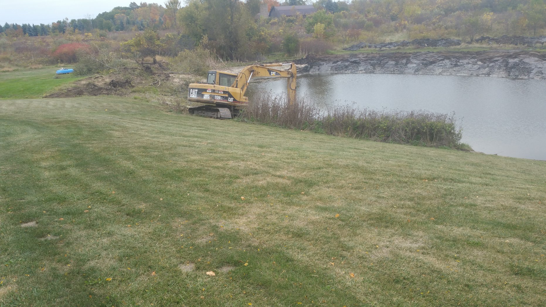 Grand Blanc, Michigan Cattail  Phragmites Remediation Weed Removal (1)