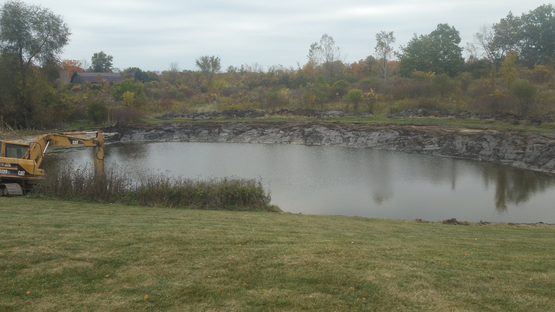Grand Blanc, Michigan Cattail  Phragmites Remediation Weed Removal (2)