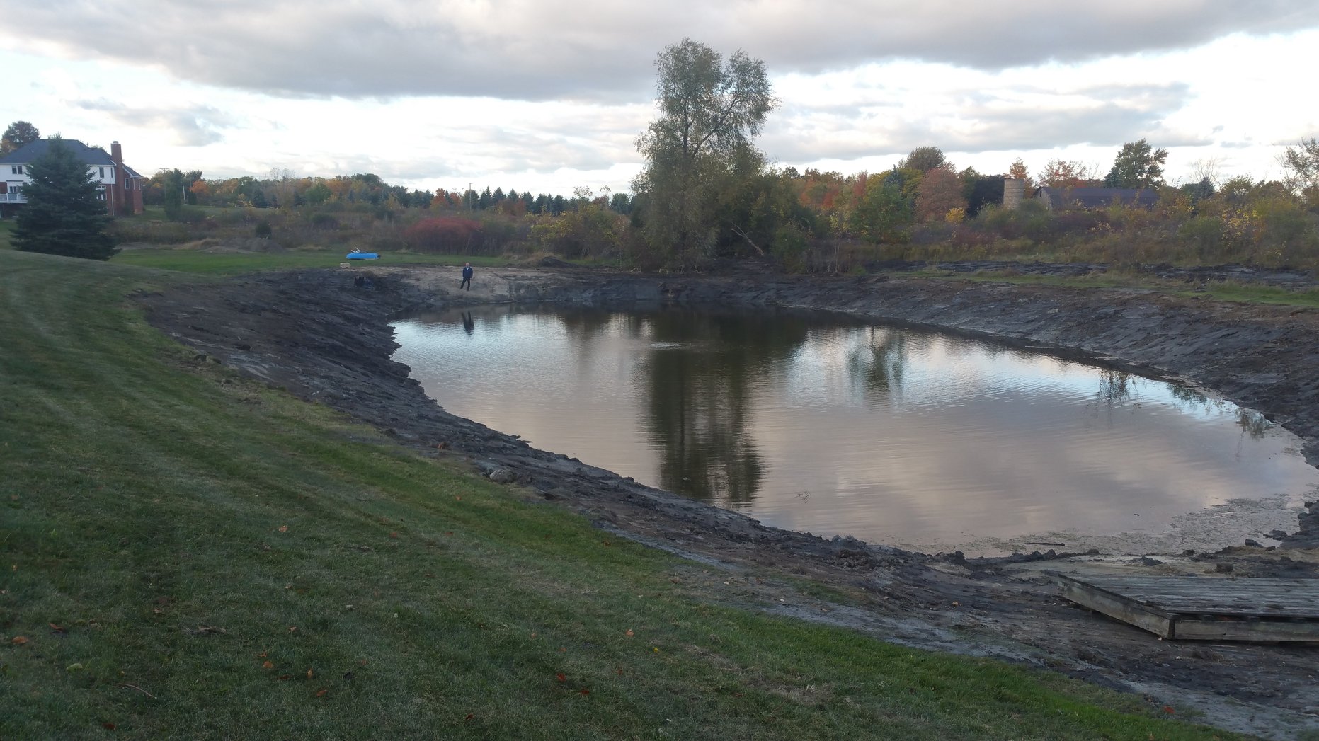 Grand Blanc, Michigan Cattail  Phragmites Remediation Weed Removal (6)