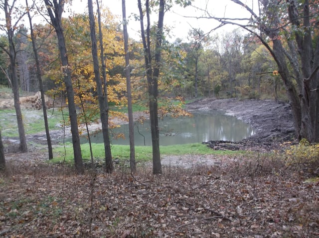Grand Rapids, Michigan Pond too shallow (5).jpg