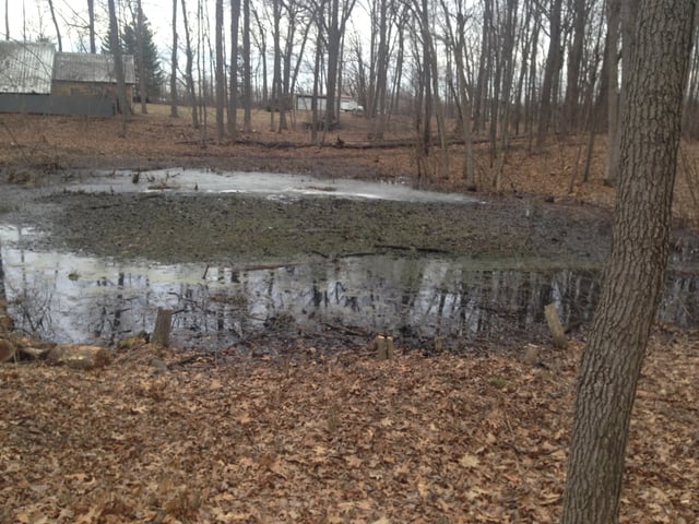 Hartland_MI_Barrow_pit_pond_renovation_3.jpg