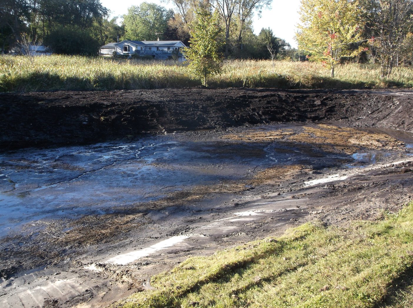 Haslett, Michigan backyard pond construction (N) (19)