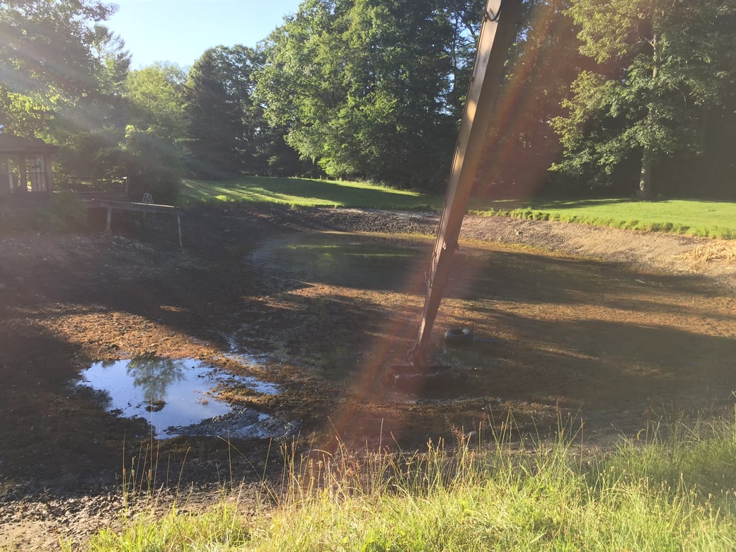 Holly, Michigan Michigan pond care (22)