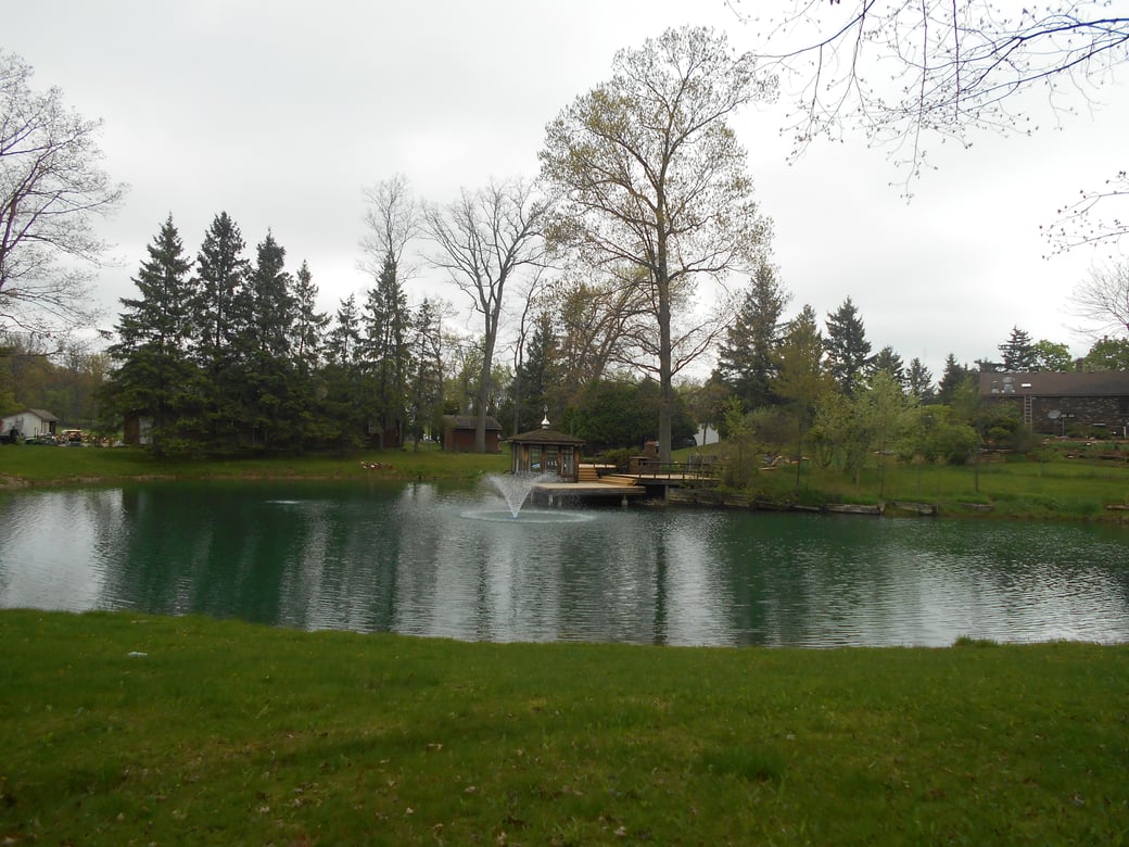Holly, Michigan Michigan pond care (35)