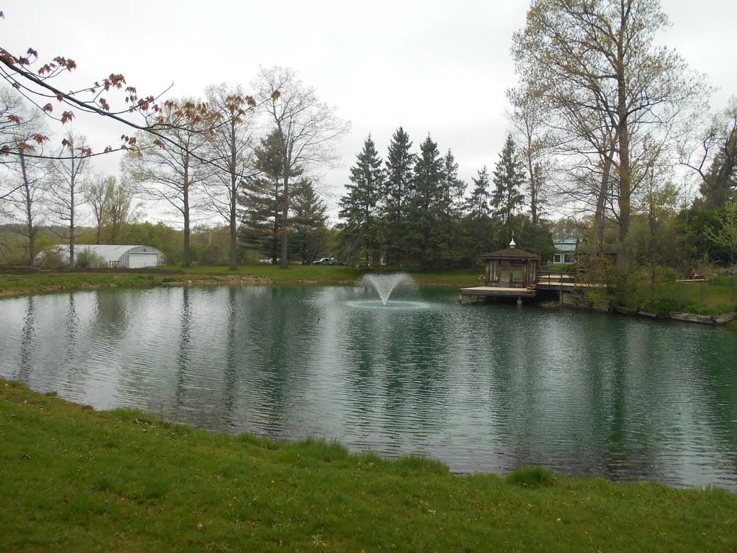 Holly, Michigan Michigan pond care (37)