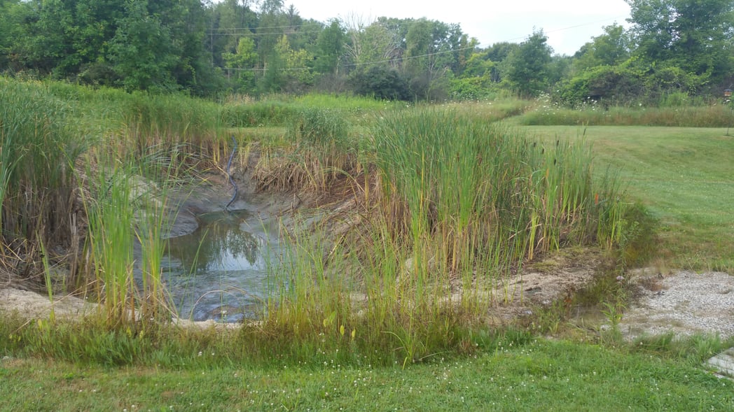 Holly, Michigan Placing rocks around pond (42)