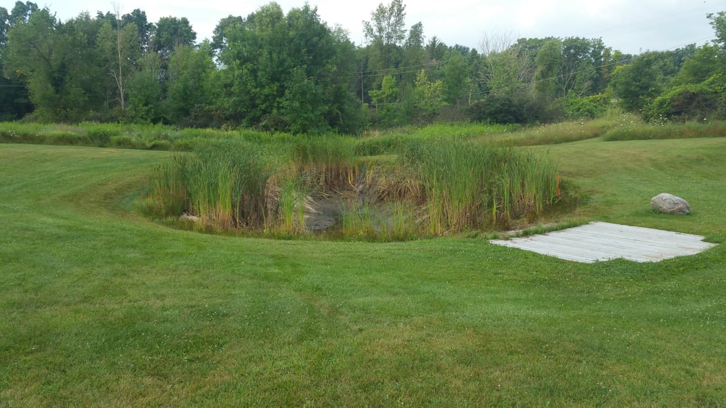 Holly, Michigan Placing rocks around pond (45)