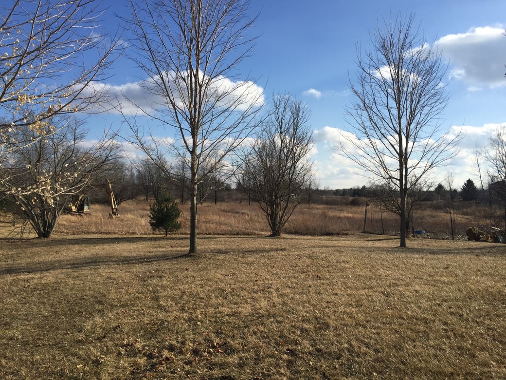 Howell, Michigan Michigan pond (75)