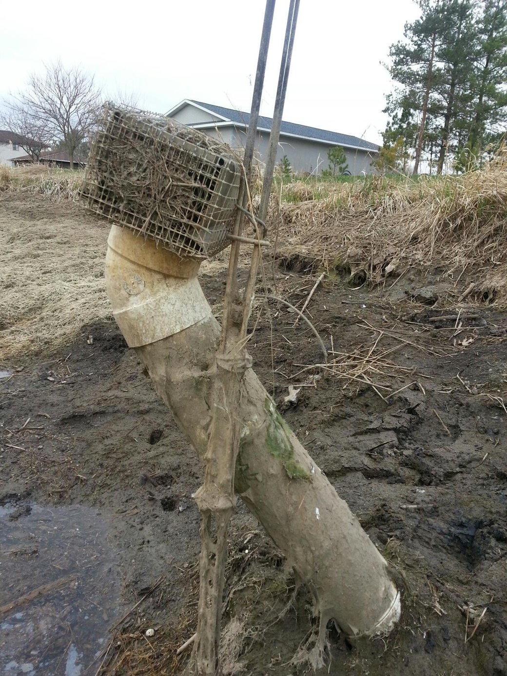Howell, Michigan Out let pond repair Michigan,Clean out (1)