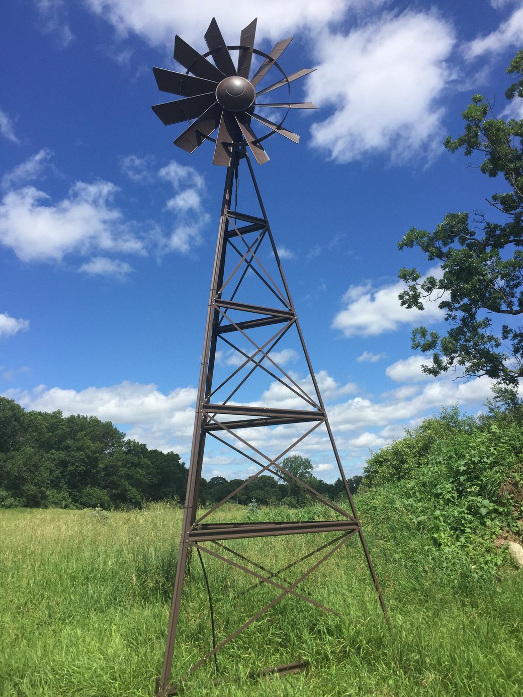 Howell, Michigan backyard pond Michigan Windmill (7)