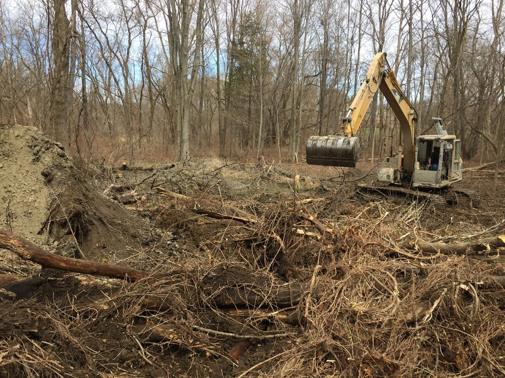 Howell, Michigan Weed removal Aquitic weed control (8)