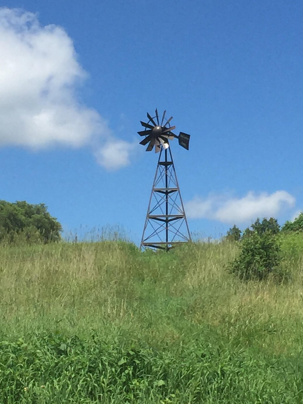 Howell, Michigan backyard pond Michigan Windmill (3)
