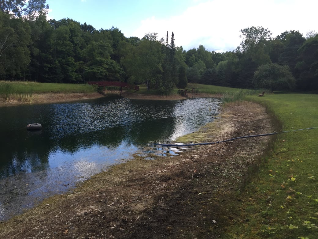 Montrose, Michigan Aquatic weed control Michigan  (27)