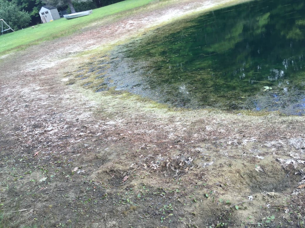 Montrose, Michigan Aquatic weed control Michigan  (31)