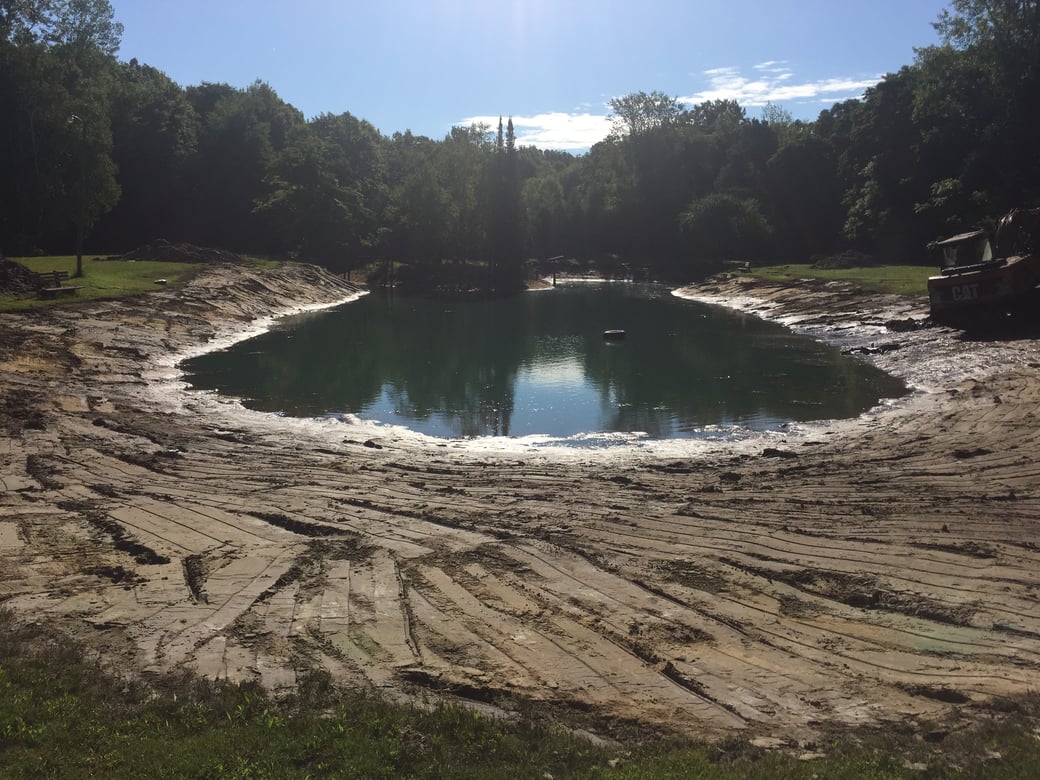 Montrose, Michigan Aquatic weed control Michigan  (38)
