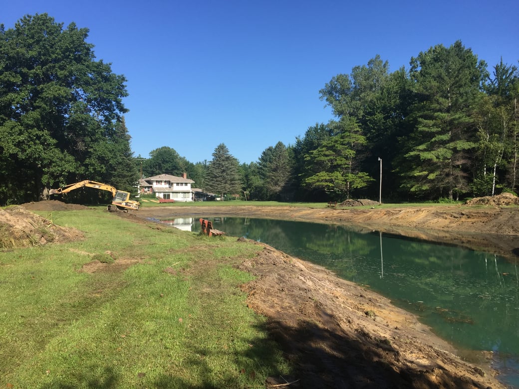 Montrose, Michigan Aquatic weed control Michigan  (41)