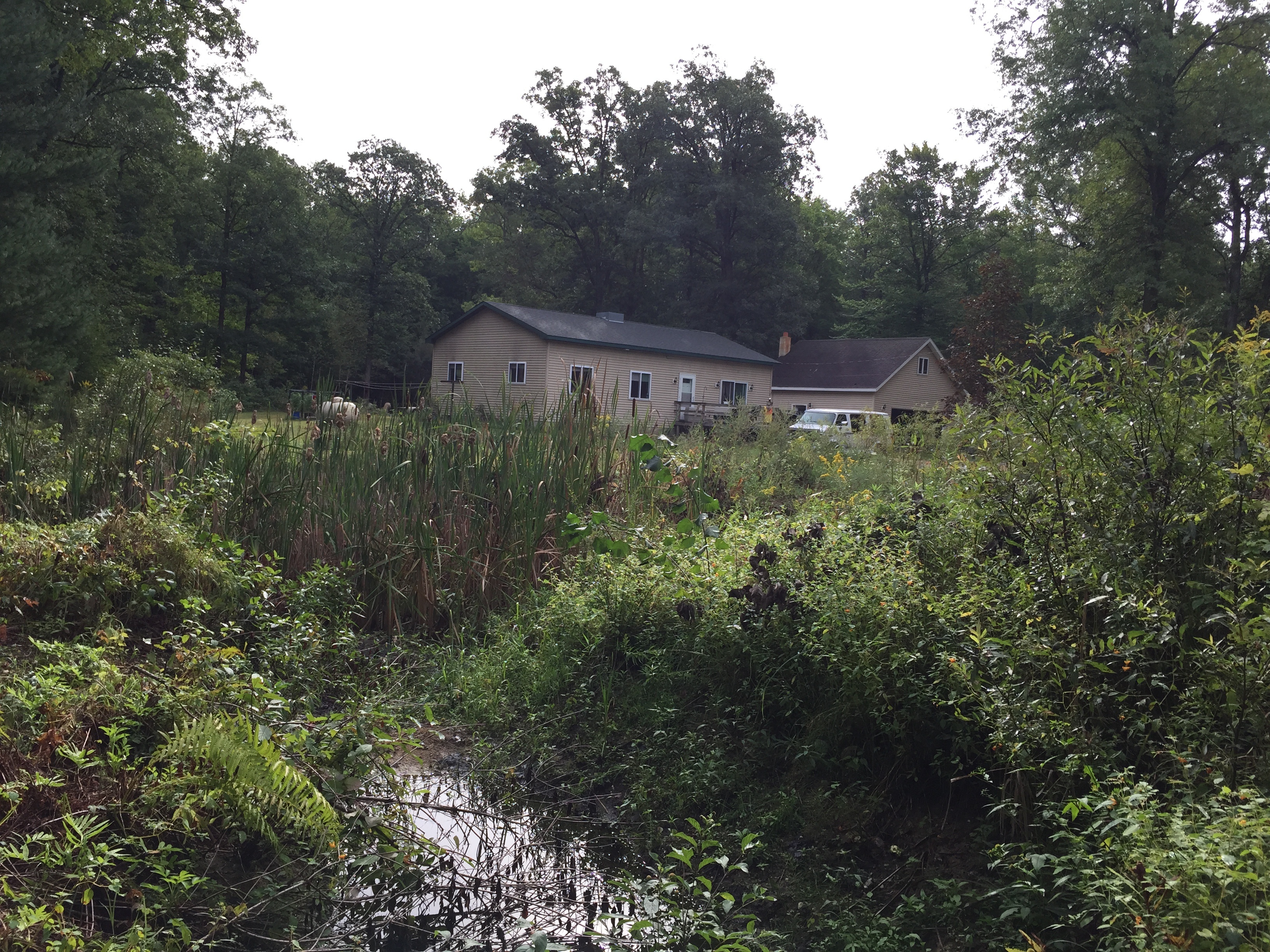 Montrose, MI Pond Restoration (N) (1)