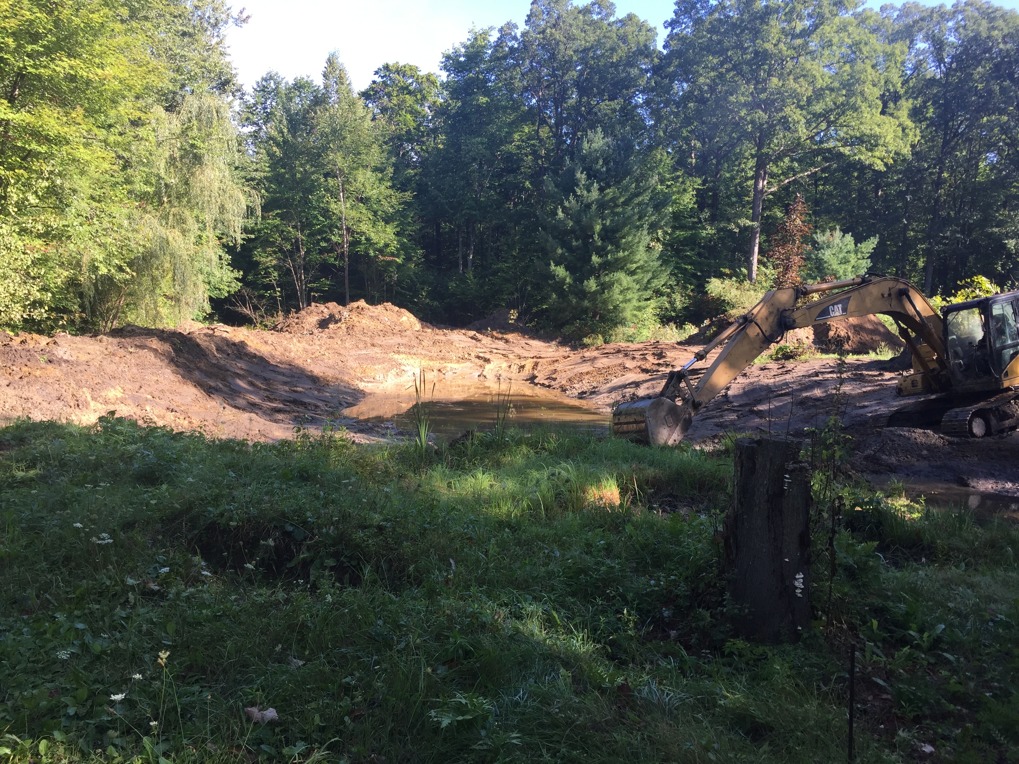 Montrose, MI Pond Restoration (N) (11)