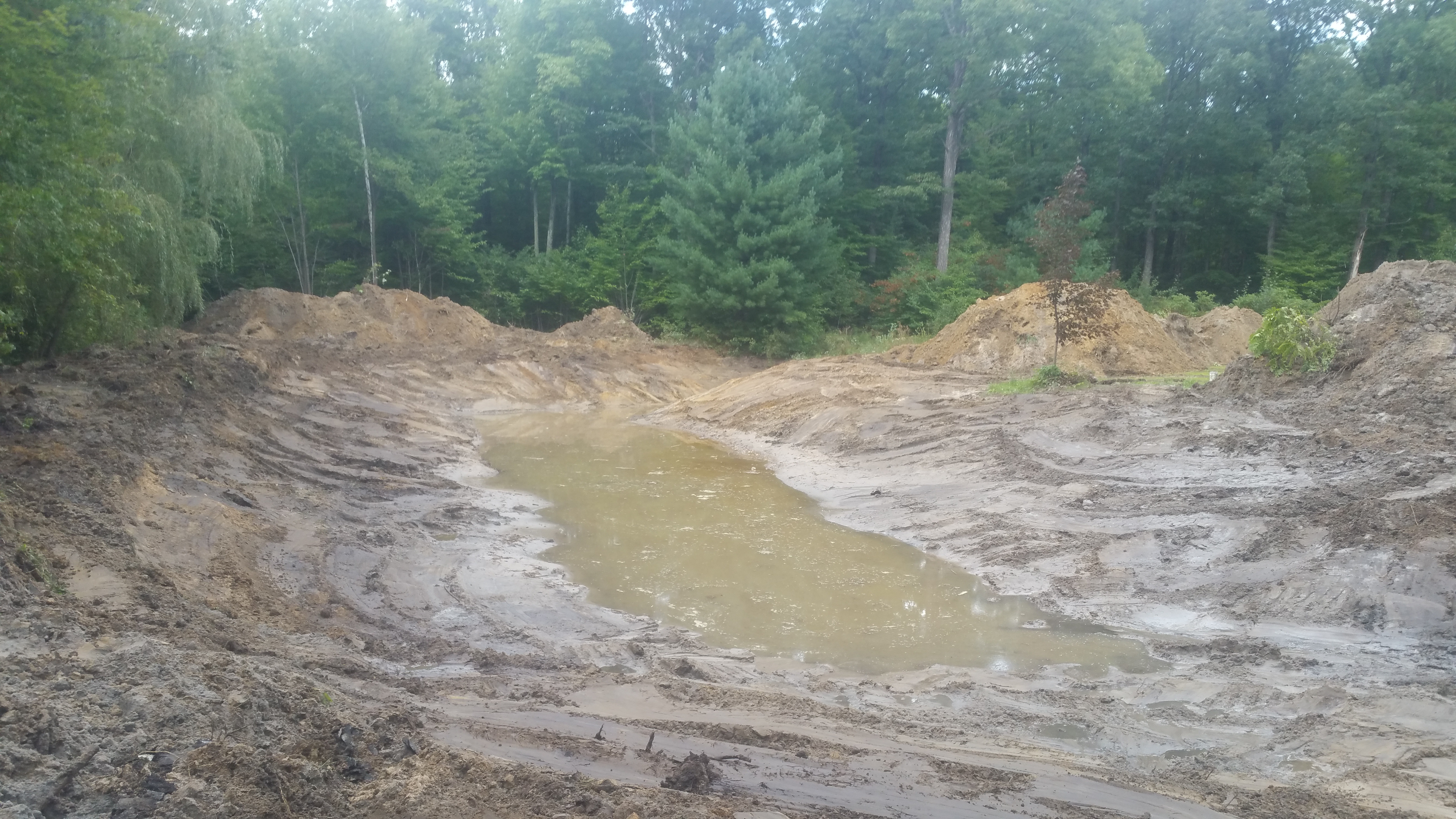Montrose, MI Pond Restoration (N) (22)