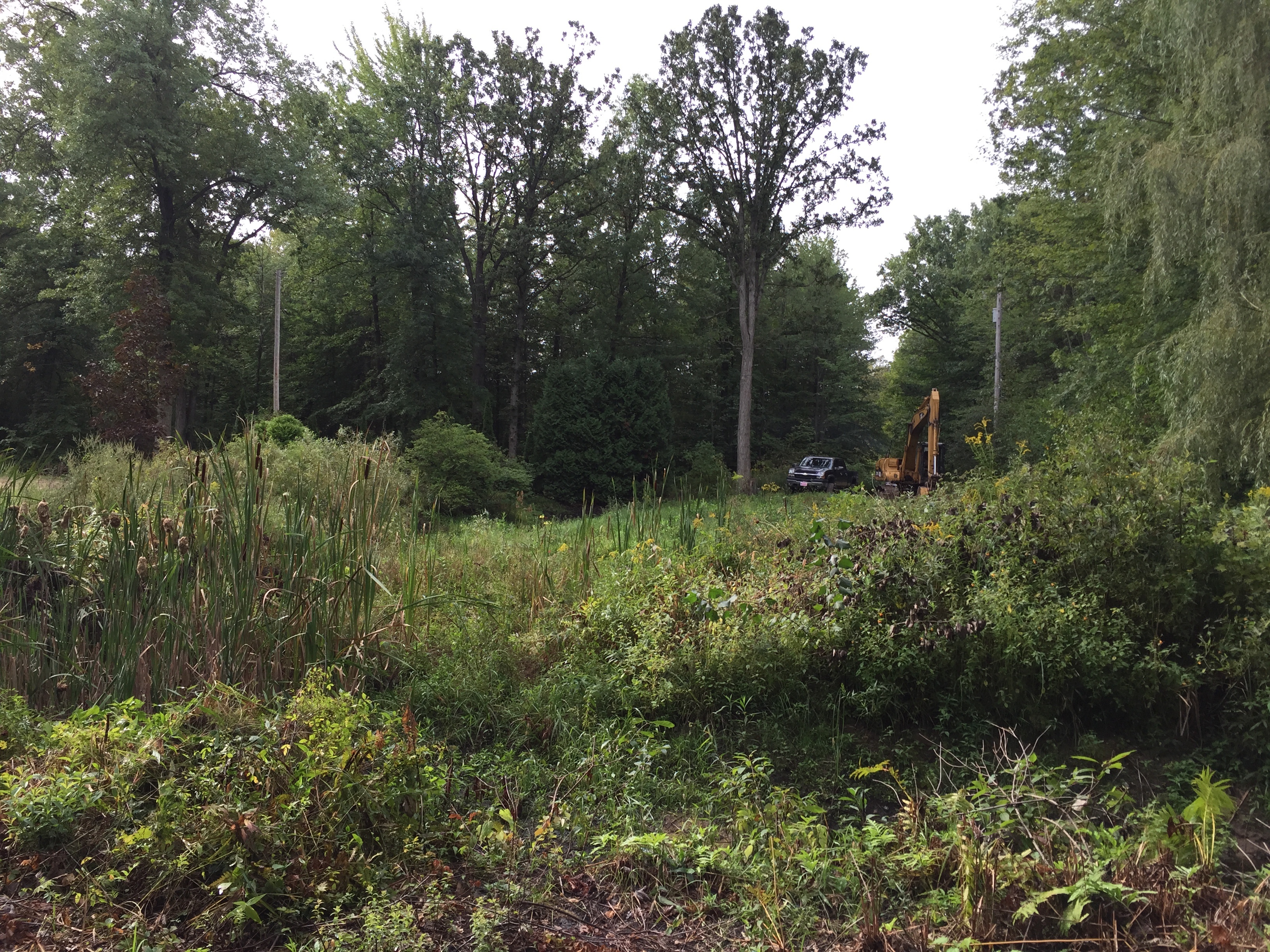 Montrose, MI Pond Restoration (N) (3)