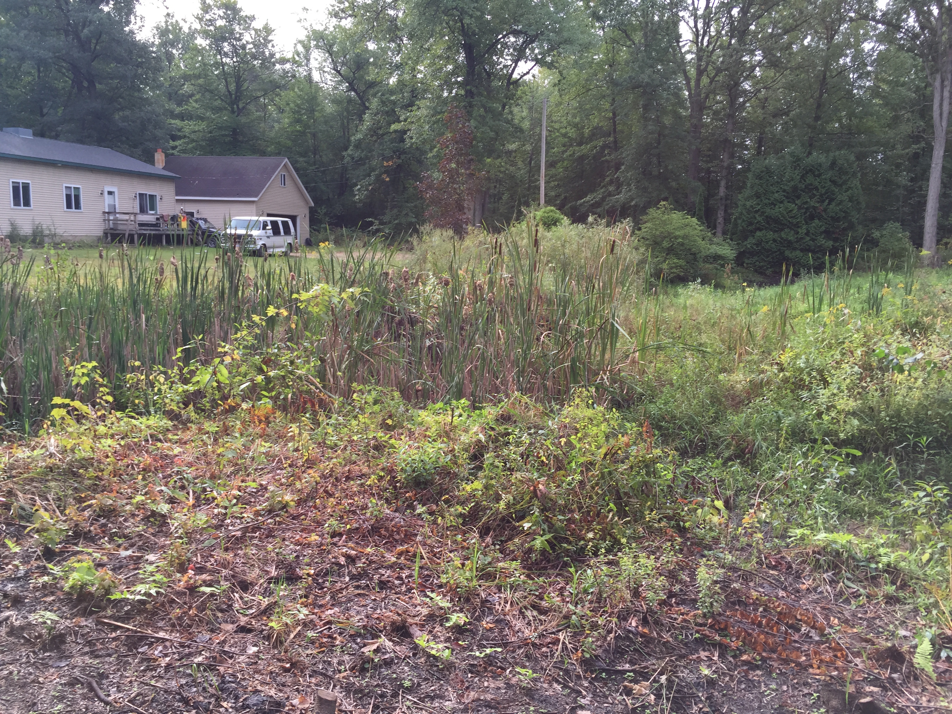 Montrose, MI Pond Restoration (N) (5)