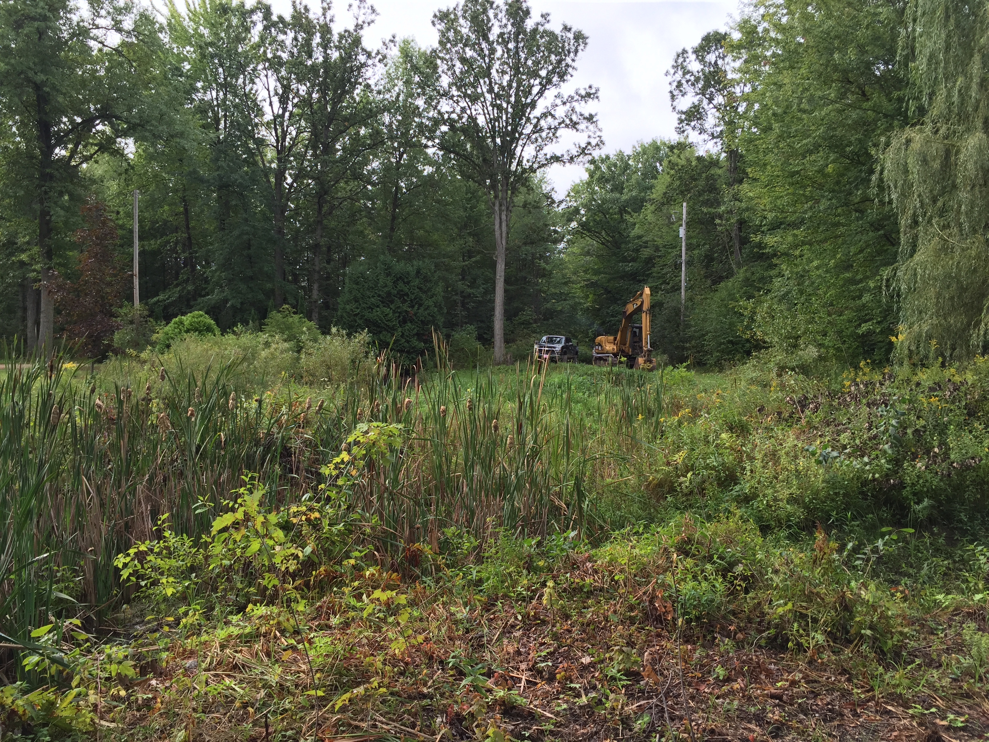 Montrose, MI Pond Restoration (N) (8)