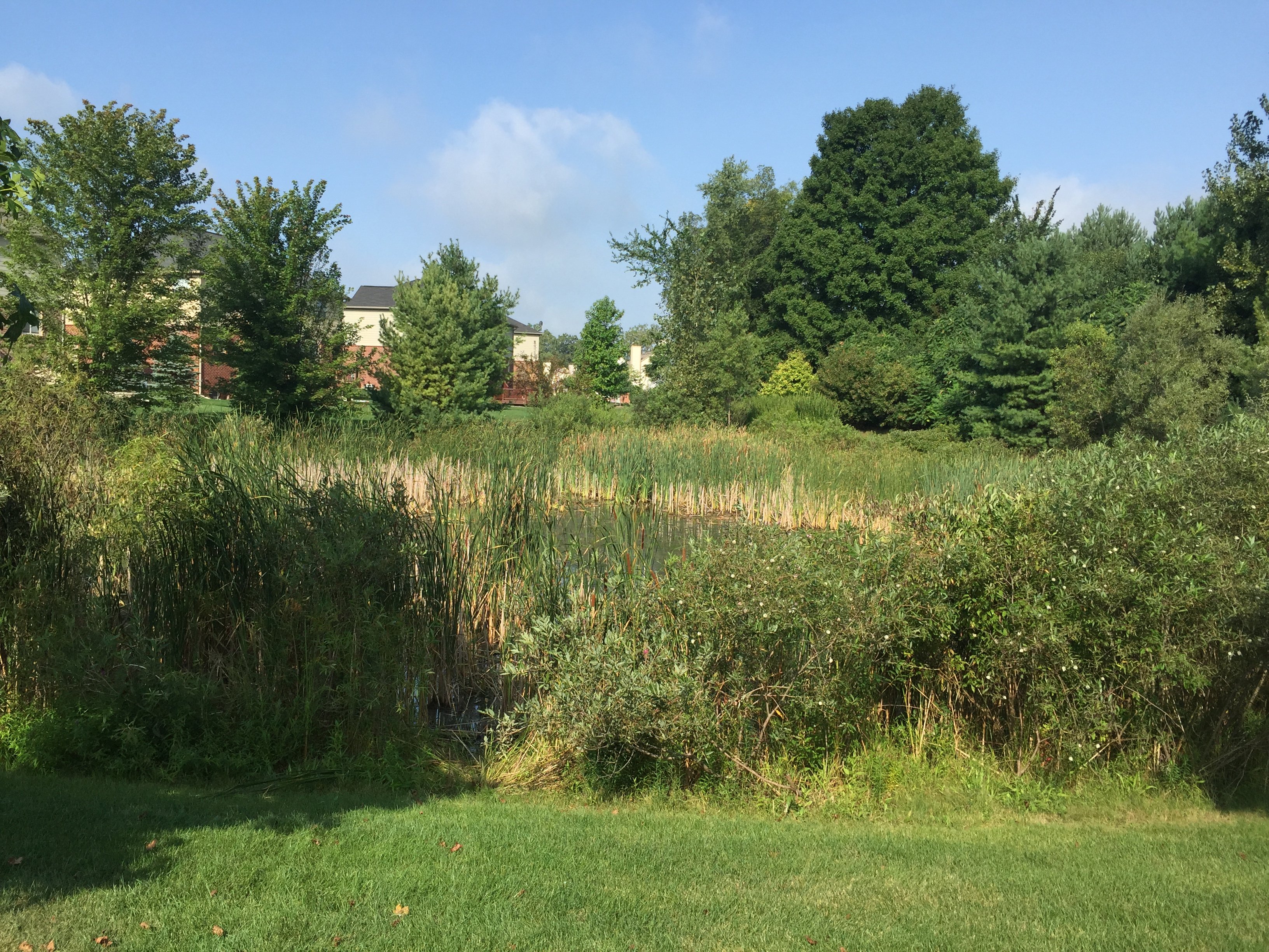 Novi, Michigan Retention Pond Maintenance (42)