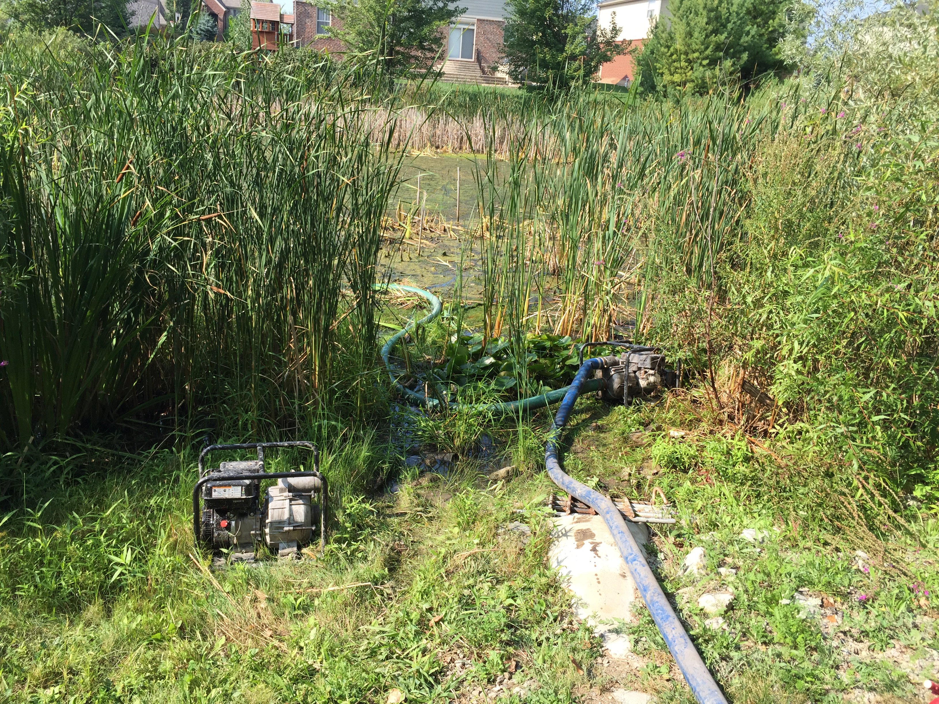 Novi, Michigan Retention Pond Maintenance (44)